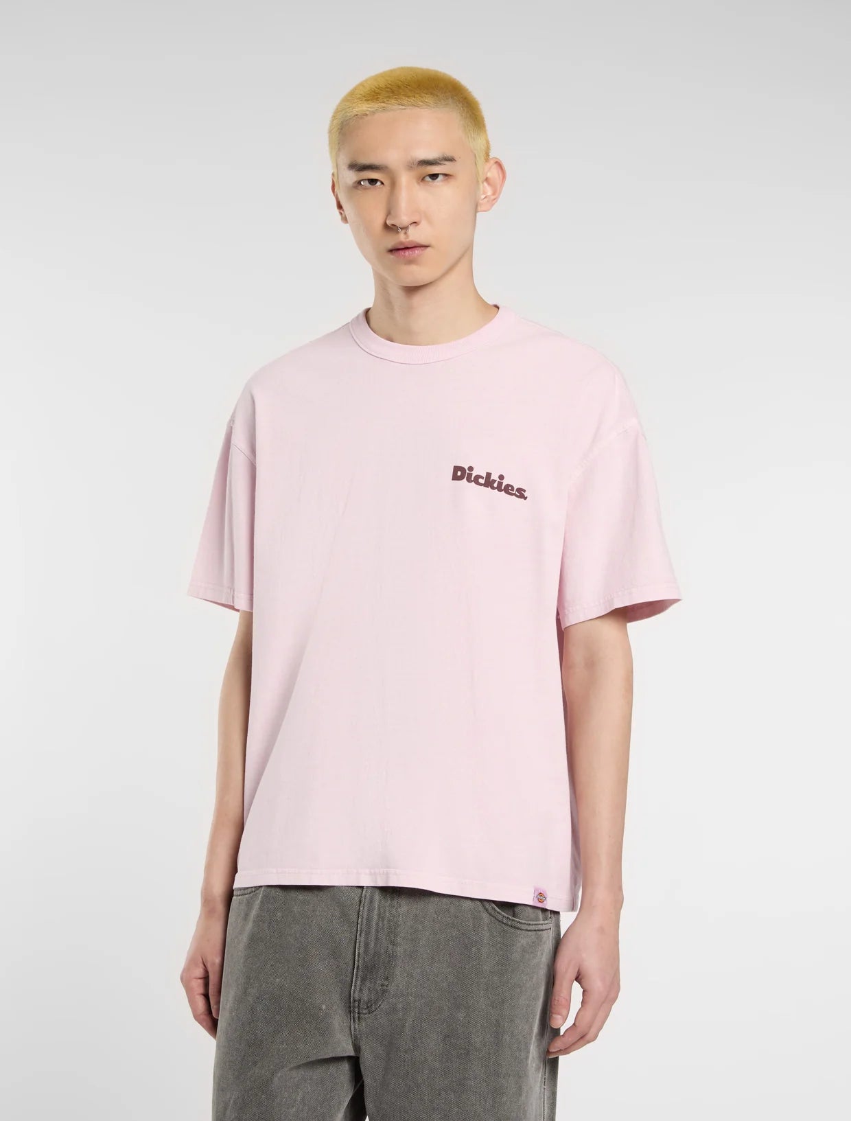 DICKIES | CAMISETAS | UNISEX | SLAYDEN GD TEE SS WINSOME ORCHID | ROSA