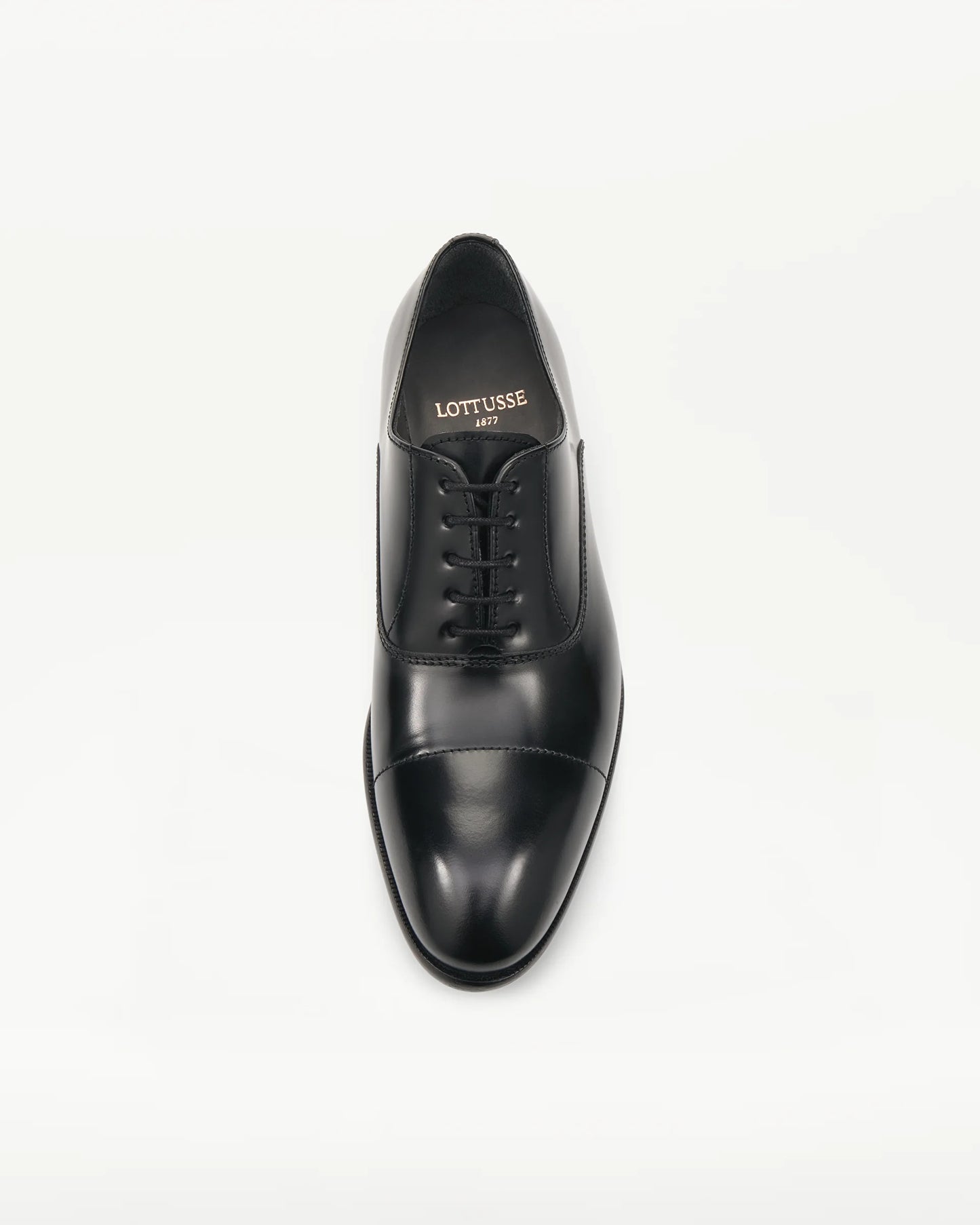 LOTTUSSE | ZAPATOS DE VESTIR | HOMBRE | OXFORD PUNTERA RECTA REGENT PIEL NEGRO | NEGRO