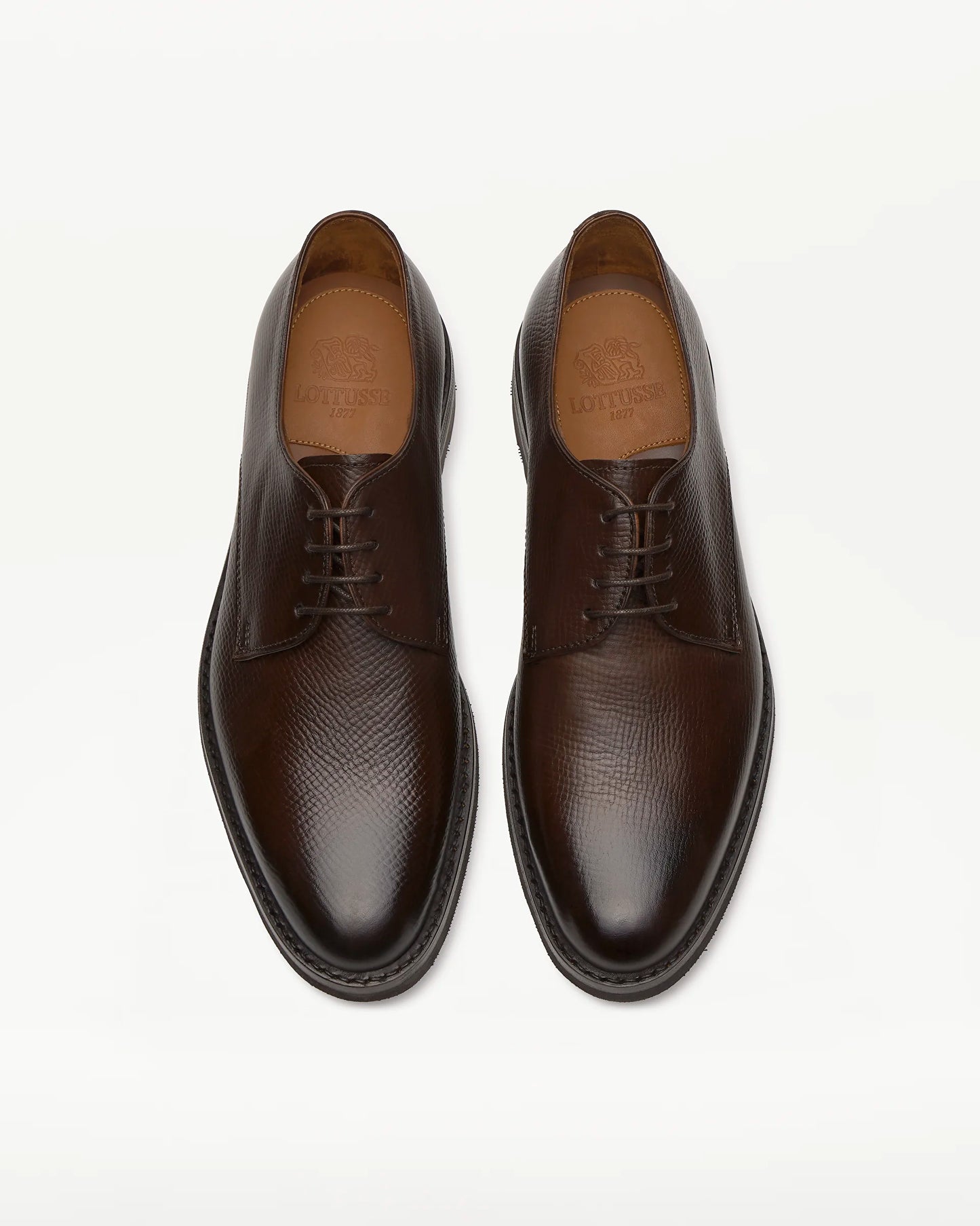 LOTTUSSE | SABATES DERBY | HOME | DERBY PREMIUM PELL MARRÓ | MARRÓ