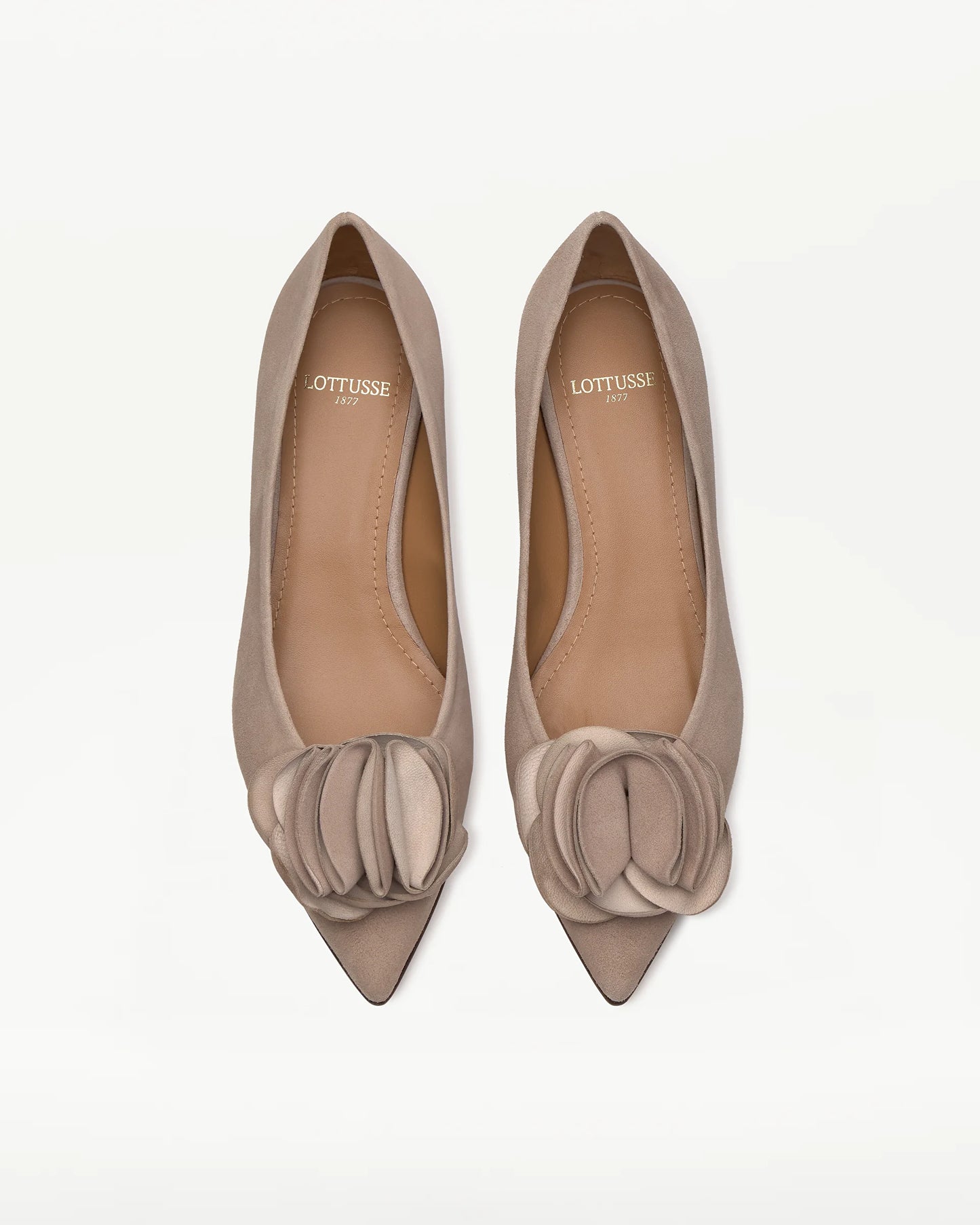 LOTTUSSE | ZAPATOS DE VESTIR | MUJER | SALONES CARLA PIEL MARRÓN | MARRÓN