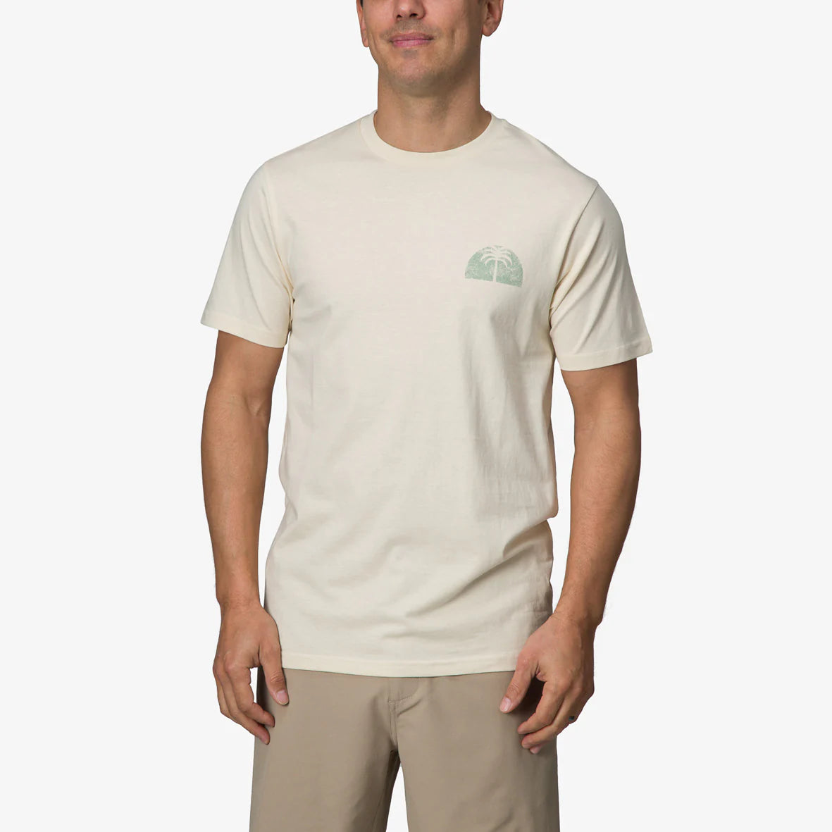 REEF | HERREN T-SHIRT | SKACH CREME | BEIGE
