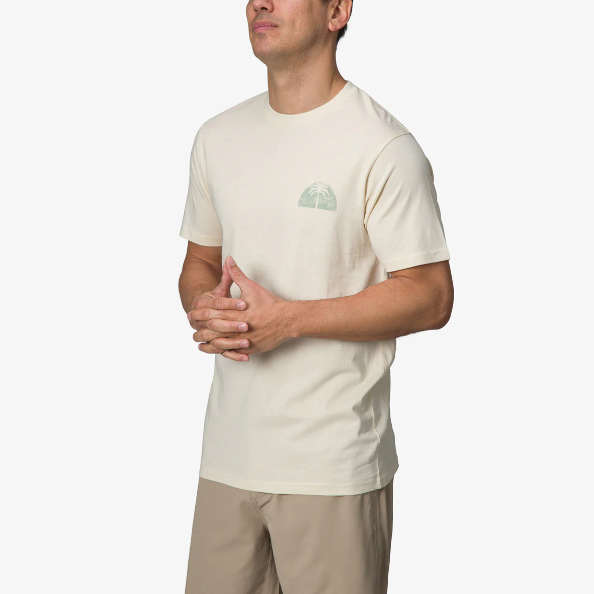 REEF | HERREN T-SHIRT | SKACH CREME | BEIGE