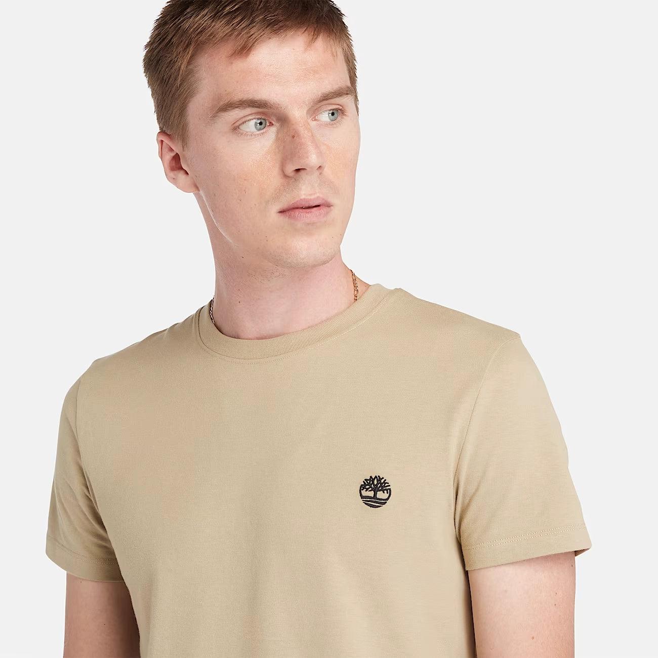 TIMBERLAND | HERREN-T-SHIRT | DUNSTAN RIVER KURZARM-CREME-T-SHIRT