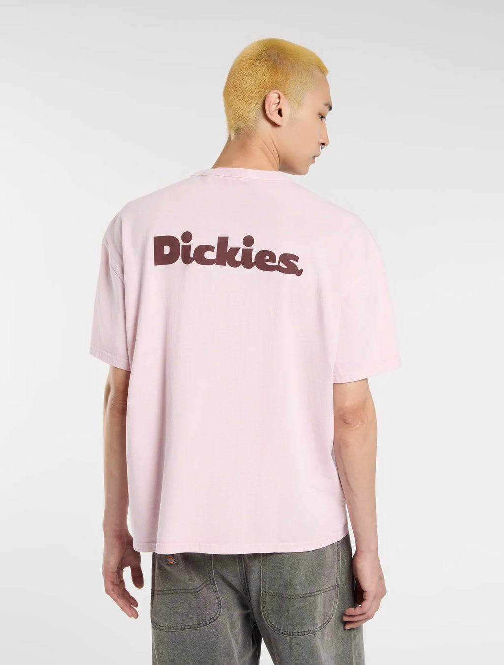 DICKIES | CAMISETA | UNISEX | SLAYDEN GD TEE SS WINSOME ORCHID | ROSA