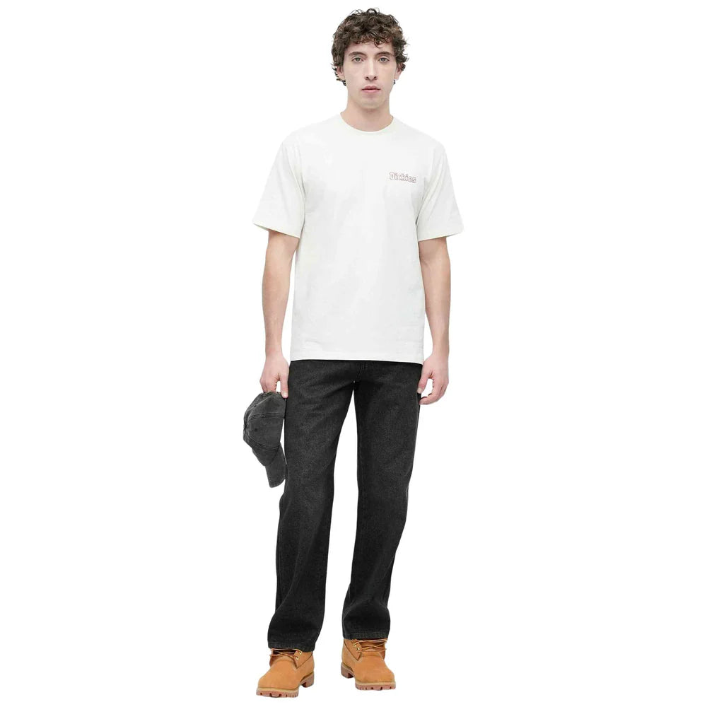 DICKIES Fairlawn SS TEE Egret: biały T-shirt dla mężczyzn