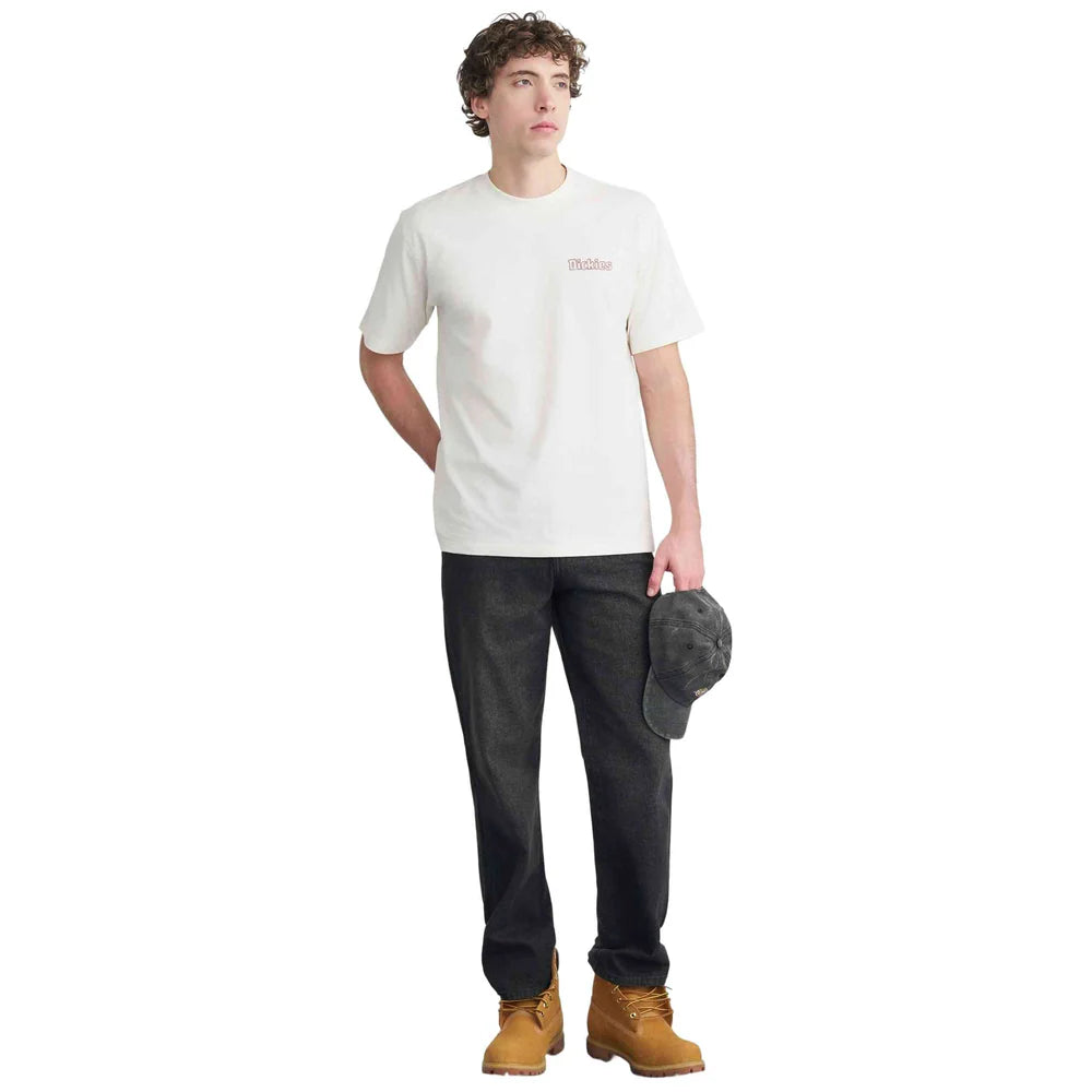 DICKIES Fairlawn SS TEE Egret: biały T-shirt dla mężczyzn