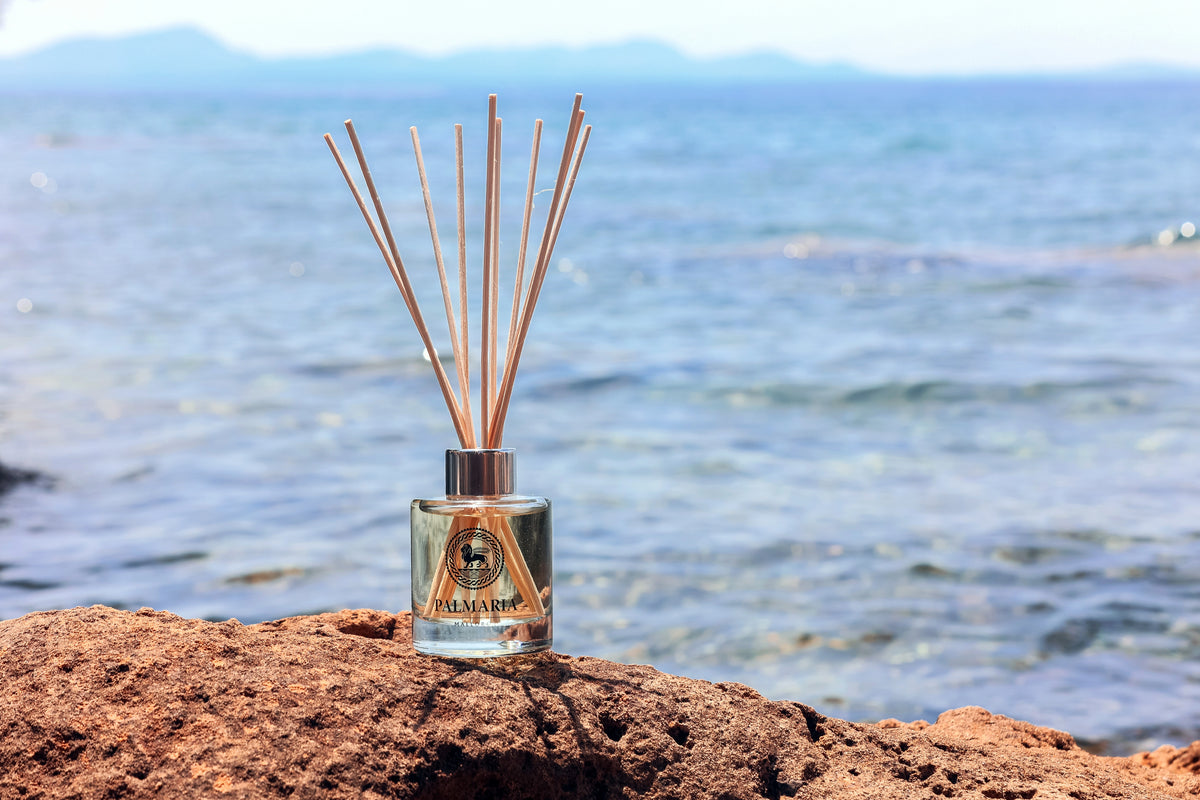 PALMARIA | FRAGANCIAS | UNISEX | FLOR DE NARANJO DIFUSOR DE PERFUME (MIKADO) 120 ML
