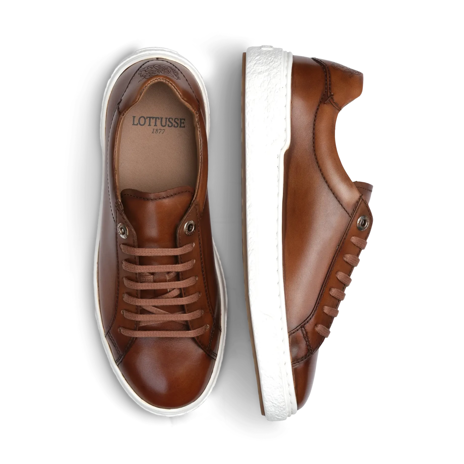 LOTTUSSE - TORINO - Sneakers de vestir para hombre – Tascon