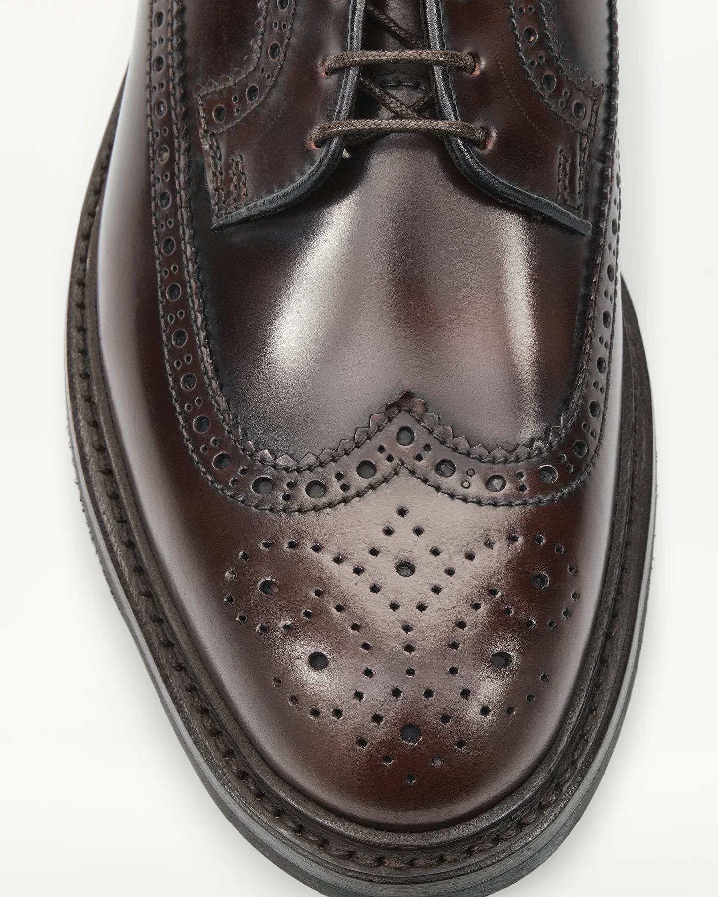 LOTTUSSE | SABATES DERBY | HOME | DERBY PALA VEGA TRAPAT WALTON PELL BORDEUS | BORDEUS