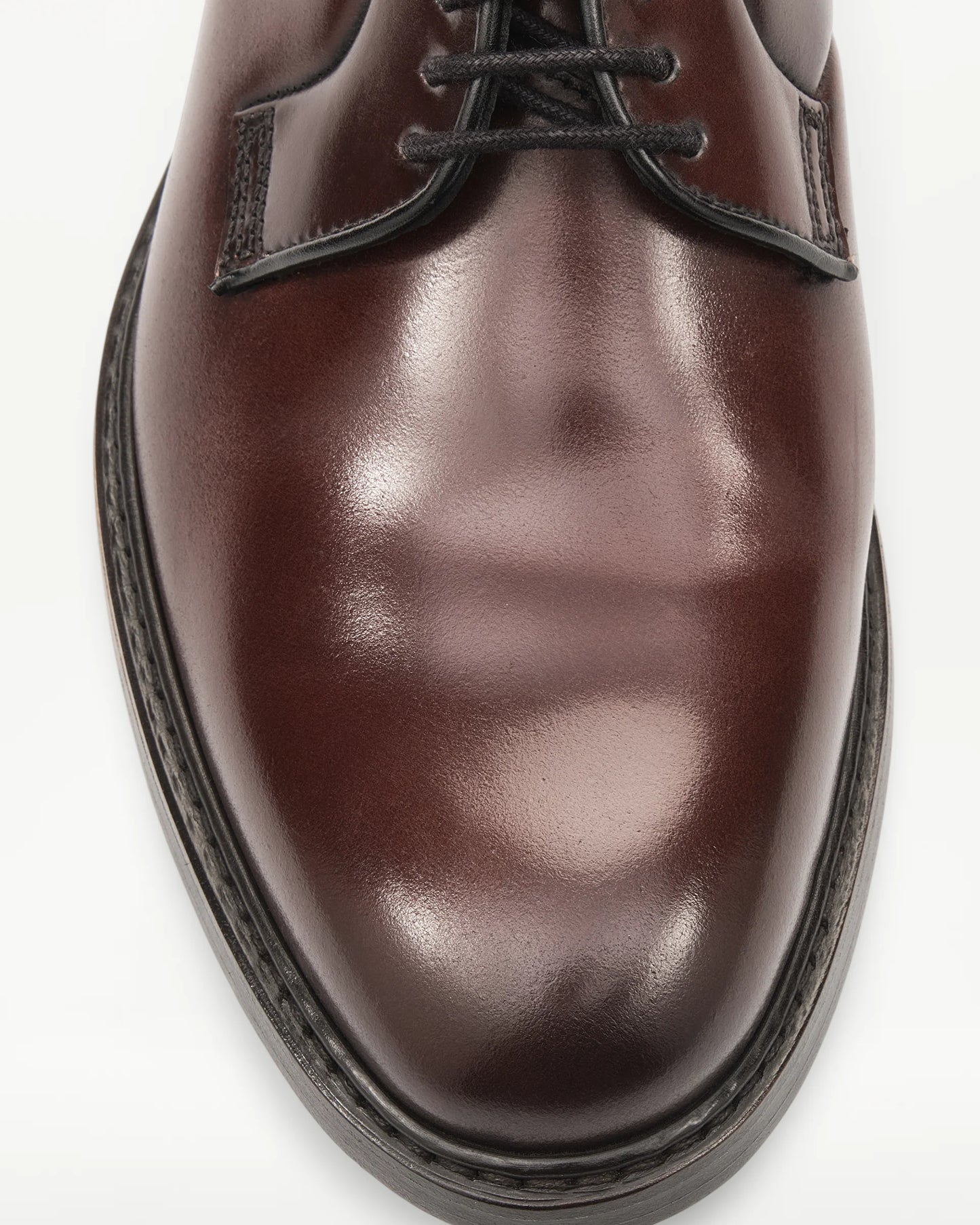 LOTTUSSE | SABATES DERBY | HOME | DERBY GLASGOW PELL BORDEUS | BORDEUS