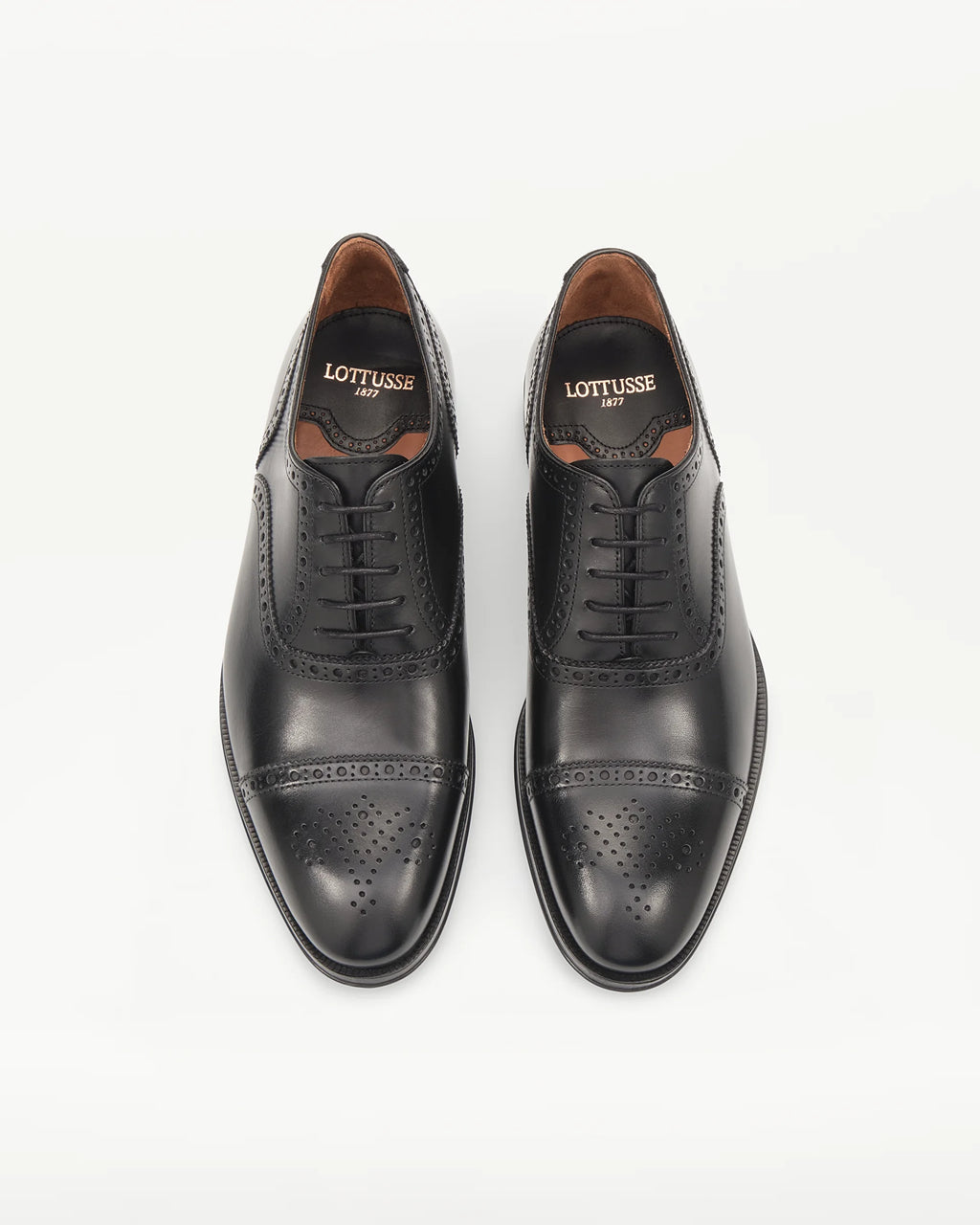 LOTTUSSE Oxford Puntera Recta Lenox PIEL Negro: أسود أحذية للرجال