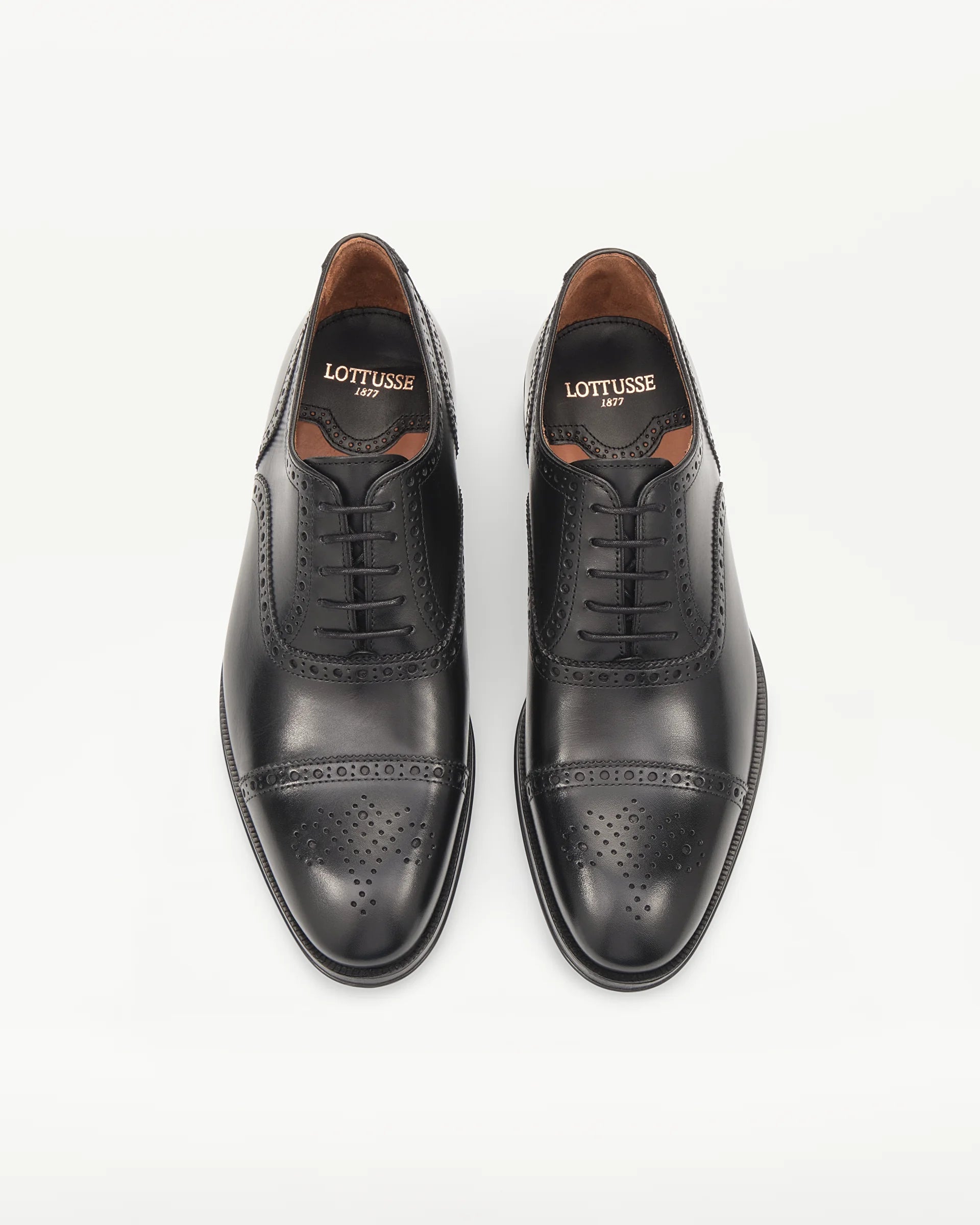 LOTTUSSE Oxford Puntera Recta Lenox PIEL Negro: أسود أحذية للرجال