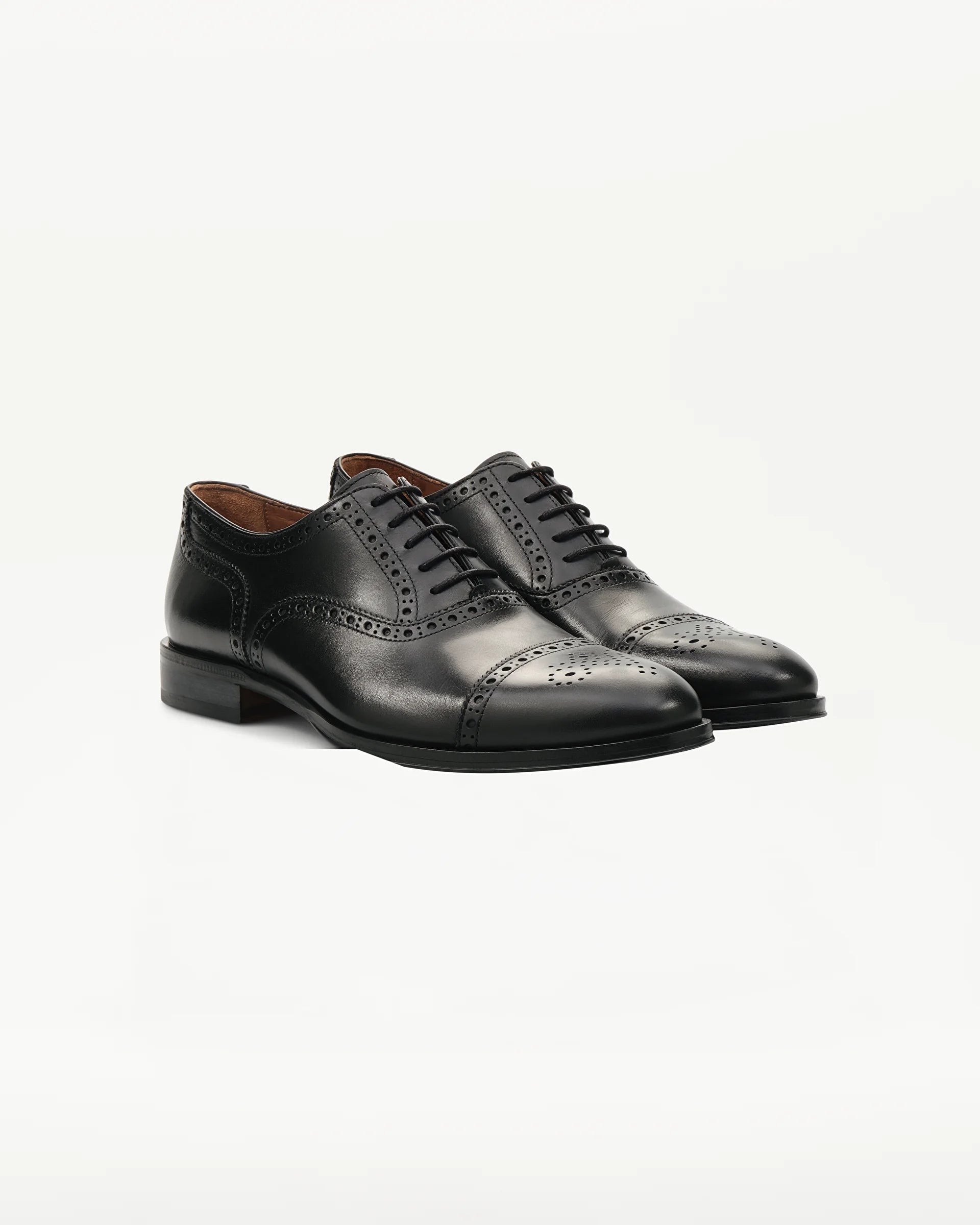 LOTTUSSE Oxford Puntera Recta Lenox PIEL Negro: أسود أحذية للرجال