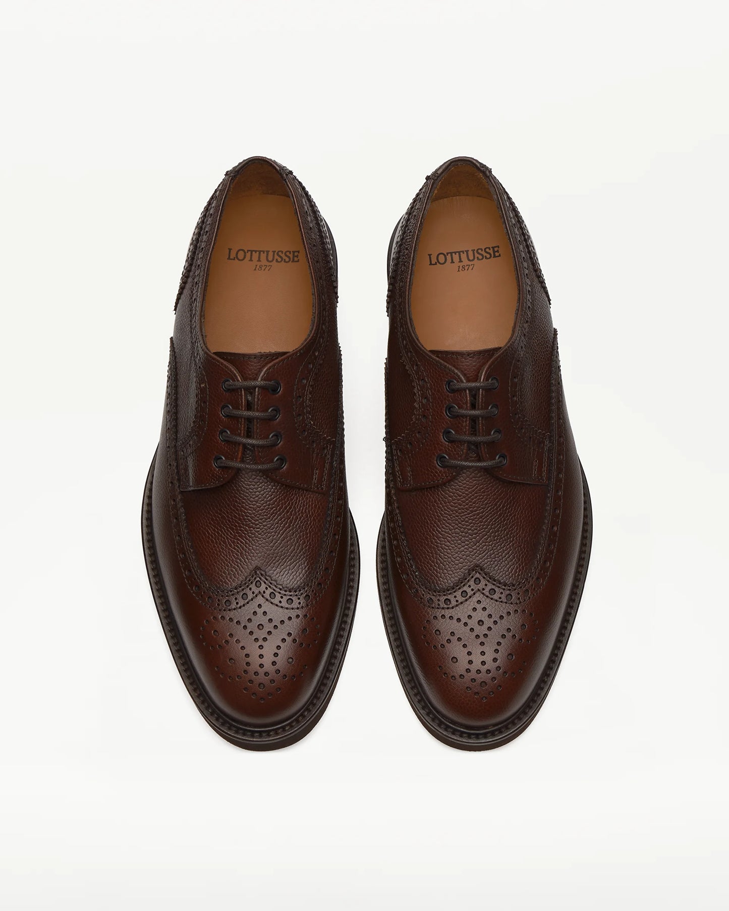 LOTTUSSE | DRESS SHOES | MEN | BALTIMORE DERBY MOCHA | BROWN