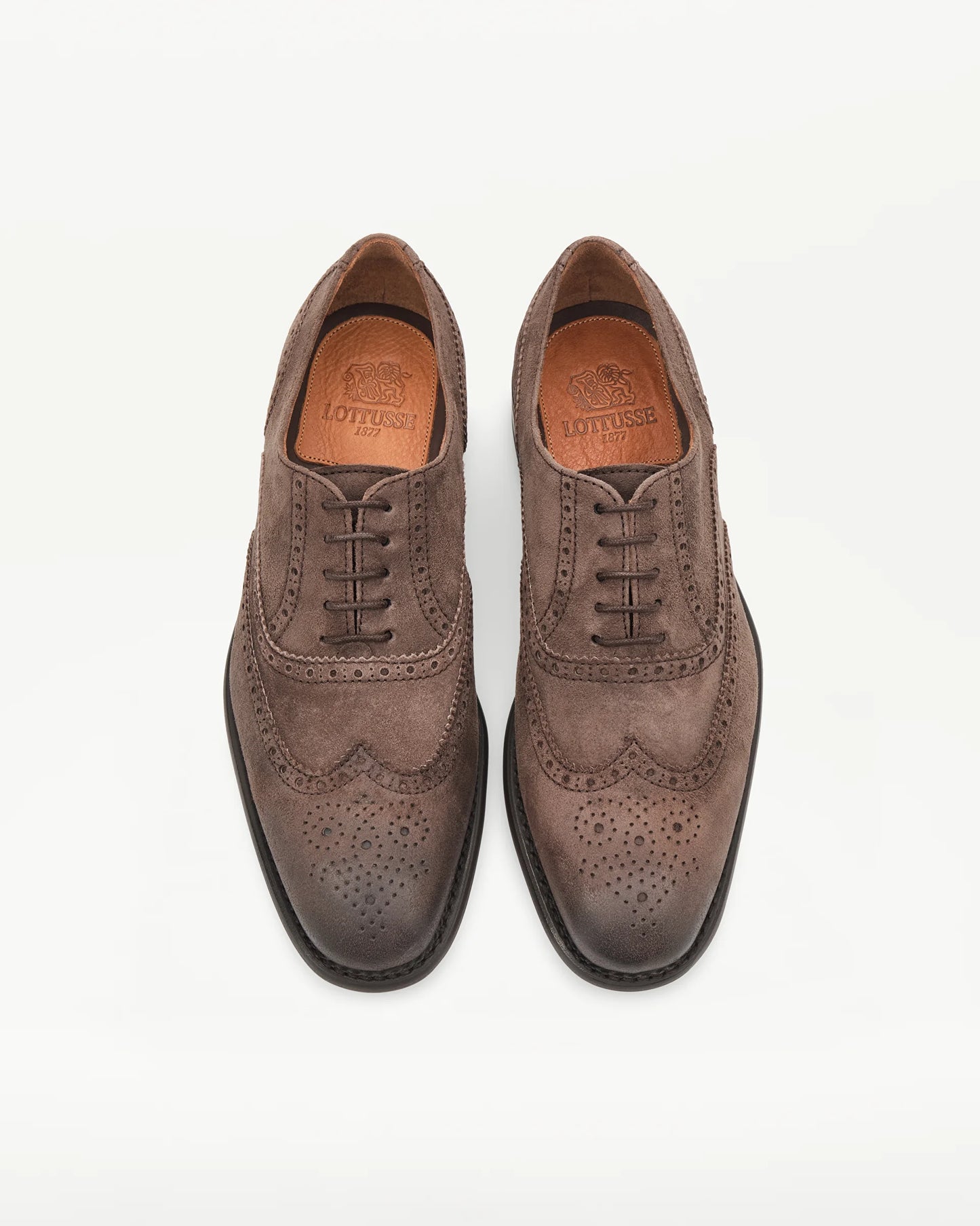 LOTTUSSE | SABATES OXFORD | HOME | OXFORD PRESTON MOCA | MARRÓ