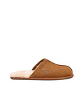UGG M Scuff Chestnut: marron sabots pour homme