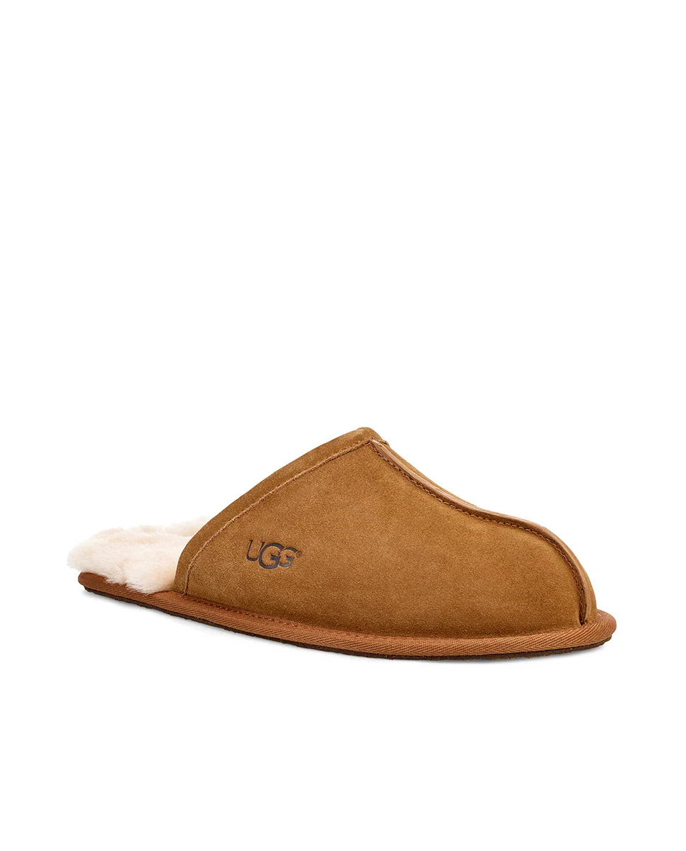 UGG M Scuff Chestnut: marron sabots pour homme