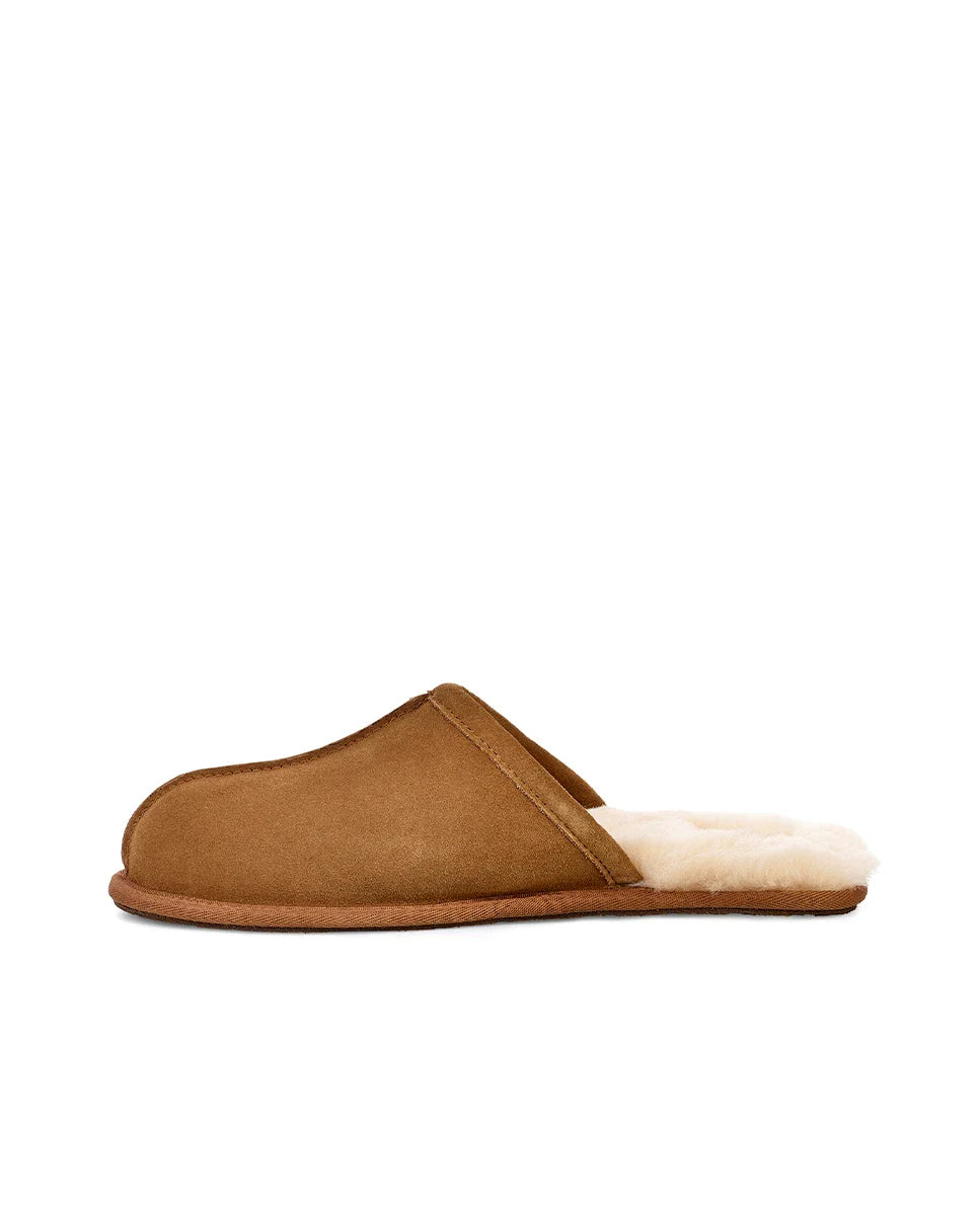 UGG M Scuff Chestnut: marron sabots pour homme