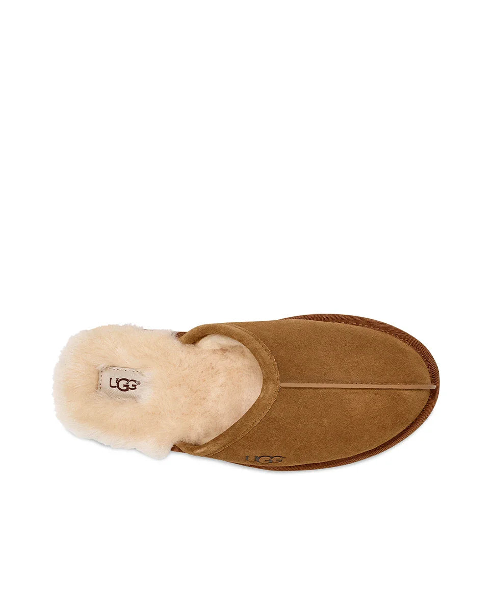 UGG M Scuff Chestnut: brun træsko til mænd