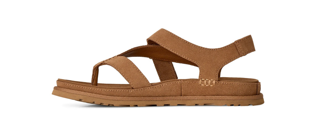 UGG | SANDALIAS | MUJER | W GOLDENGAZE TOE POST CHESTNUT | MARRÓN