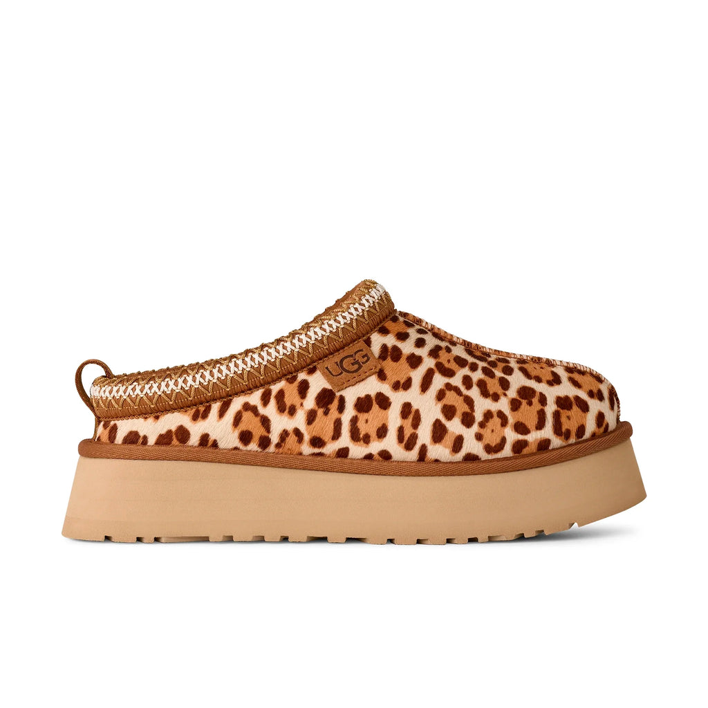 UGG W TAZZ Plains Felicity Leopard Jasmine: animal print 木屐 女士