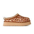 UGG W TAZZ Plains Felicity Leopard Jasmine: animal print 木屐 女士