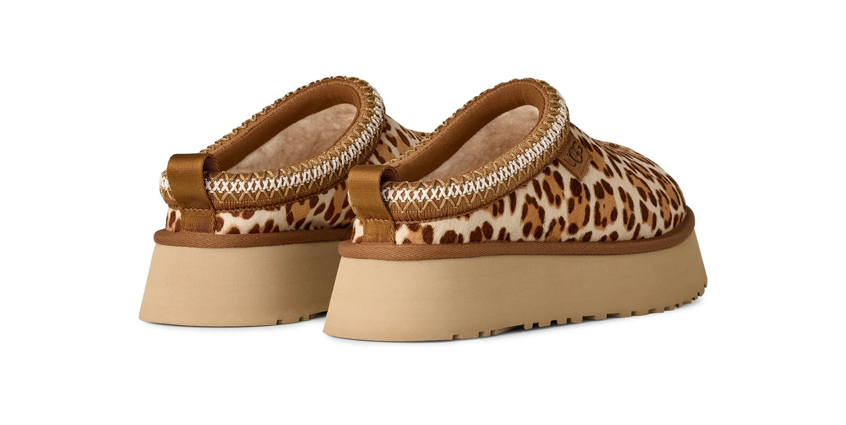 UGG W TAZZ Plains Felicity Leopard Jasmine: animal print 木屐 女士