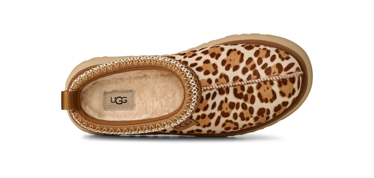 UGG W TAZZ Plains Felicity Leopard Jasmine: animal print 木屐 女士