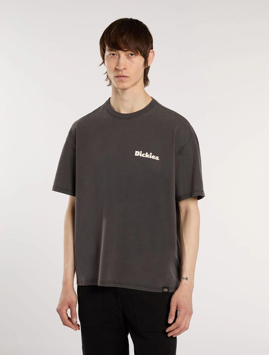DICKIES | CAMISETAS | HOMBRE | SLAYDEN GD TEE SS BLACK | NEGRO