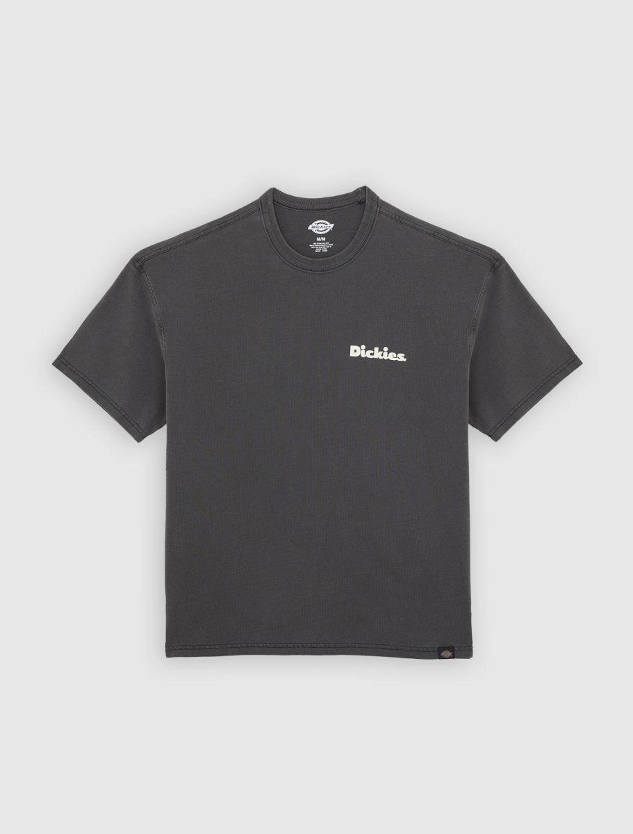 DICKIES | CAMISETAS | HOMBRE | SLAYDEN GD TEE SS BLACK | NEGRO
