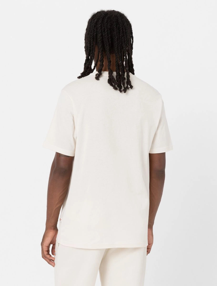 DICKIES Mapleton SS TEE Whitecap GRAY: بيج تيشيرت للرجال