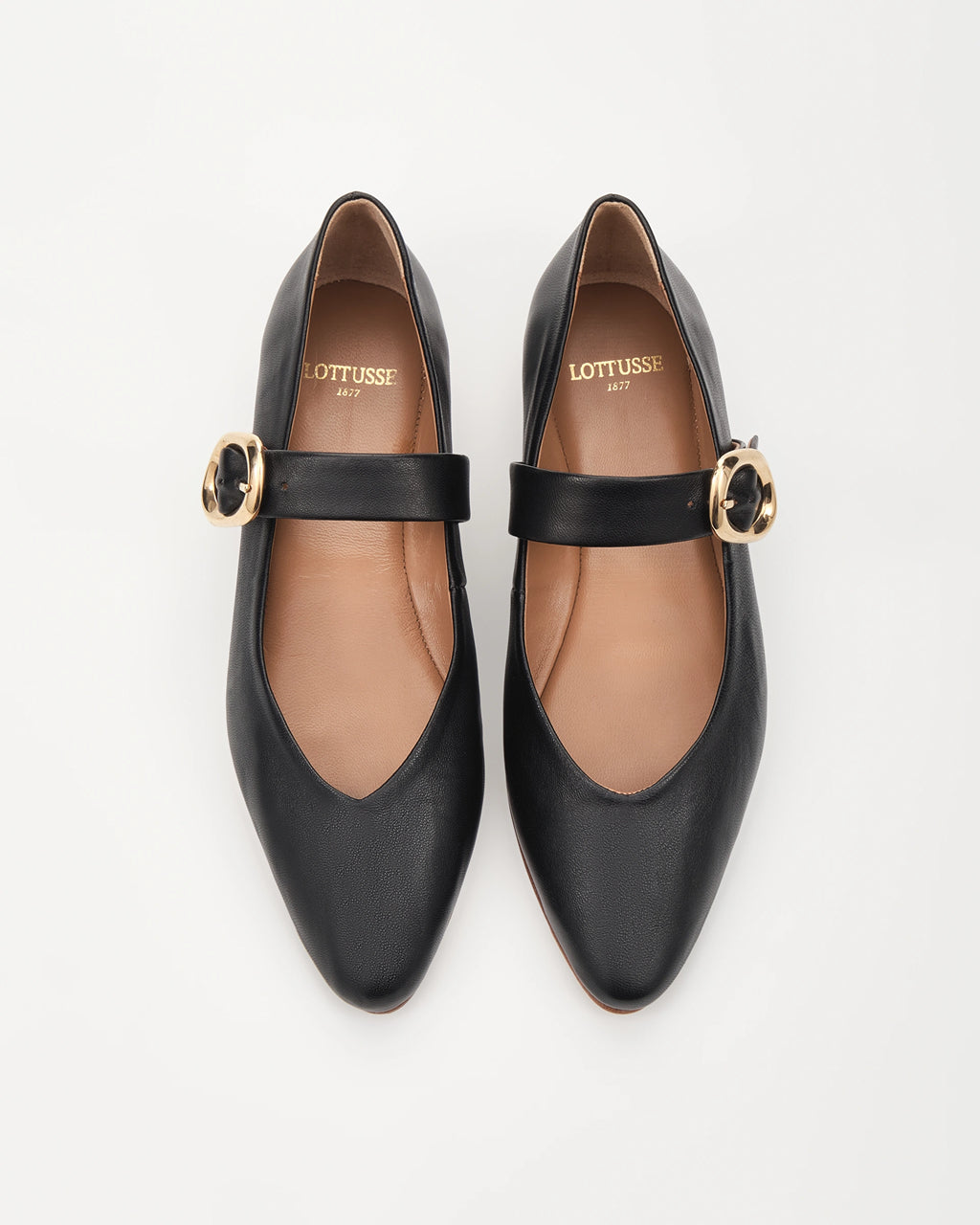 LOTTUSSE | MERCEDITAS | MUJER | BEL | NEGRO