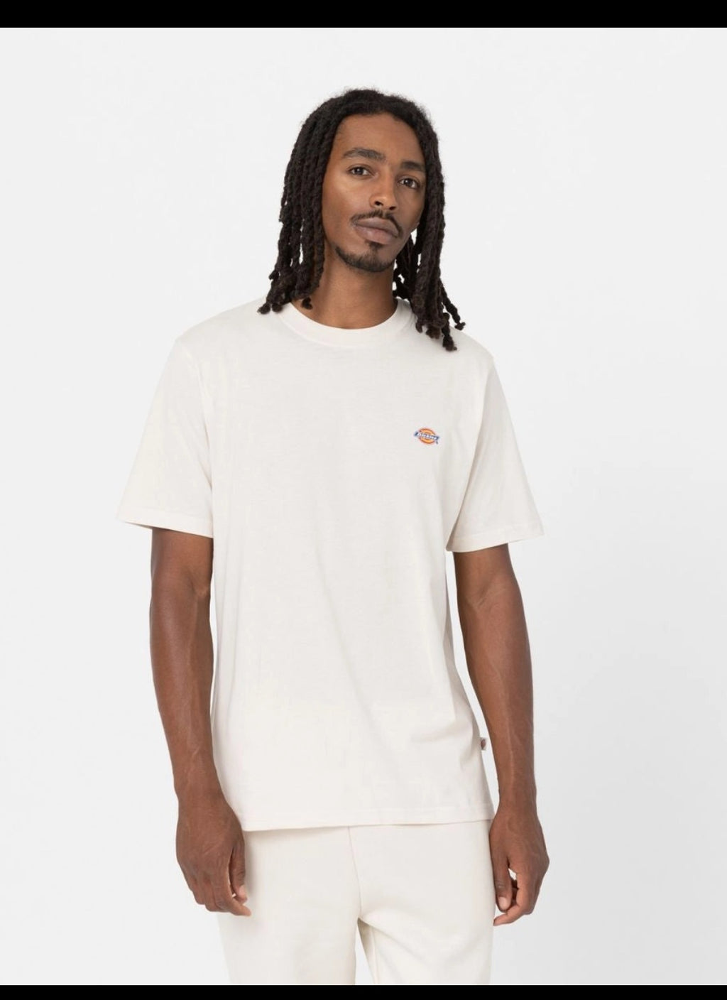 DICKIES Mapleton SS TEE Whitecap GRAY: بيج تيشيرت للرجال