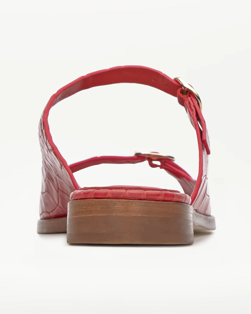 LOTTUSSE | SANDALS | WOMEN | SS01394 BLACK | BLACK