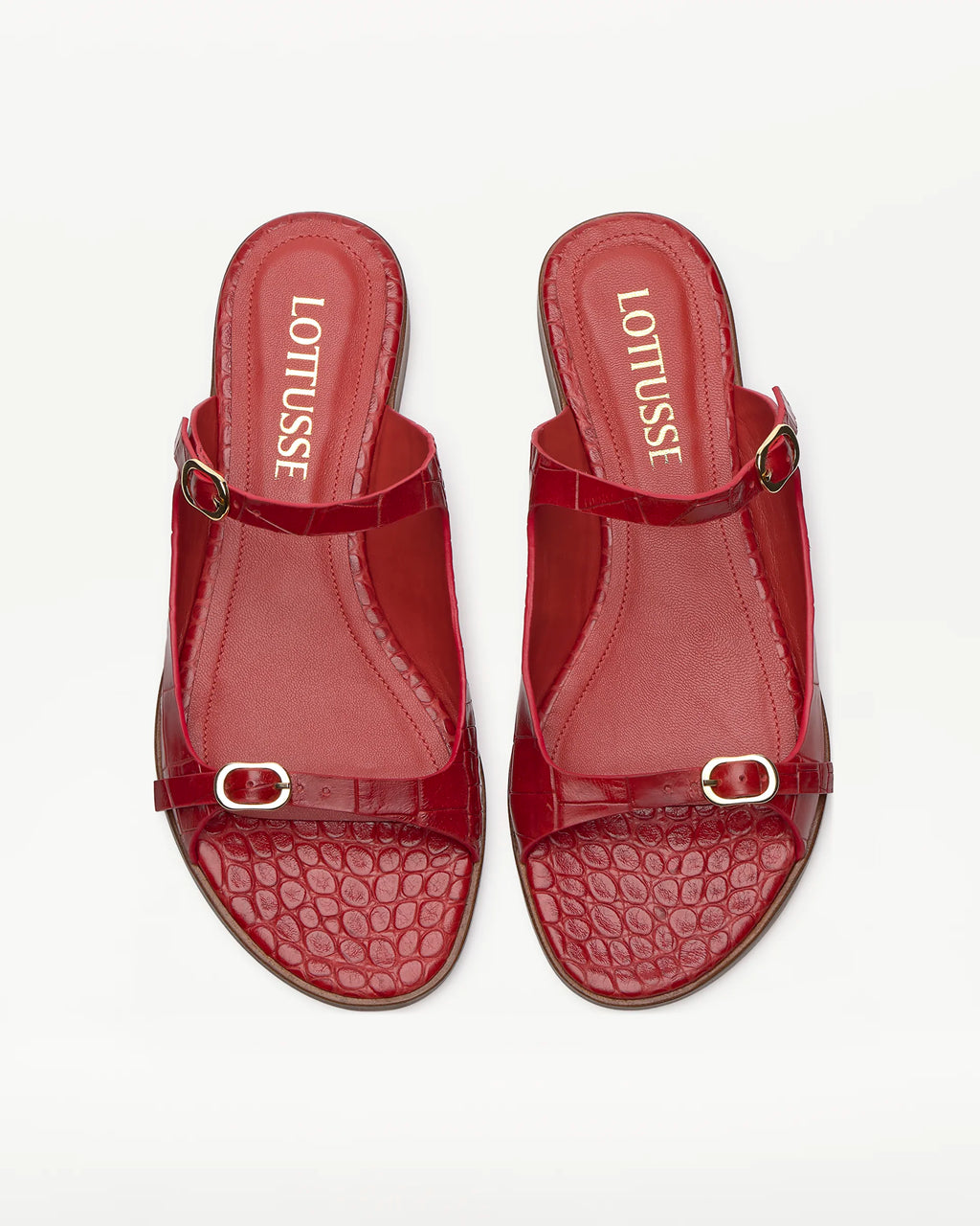 LOTTUSSE | SANDALS | WOMEN | SS01394 BLACK | BLACK